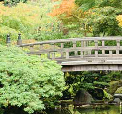 Garden water ponds